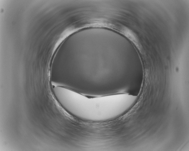 X0000087411428200705111840