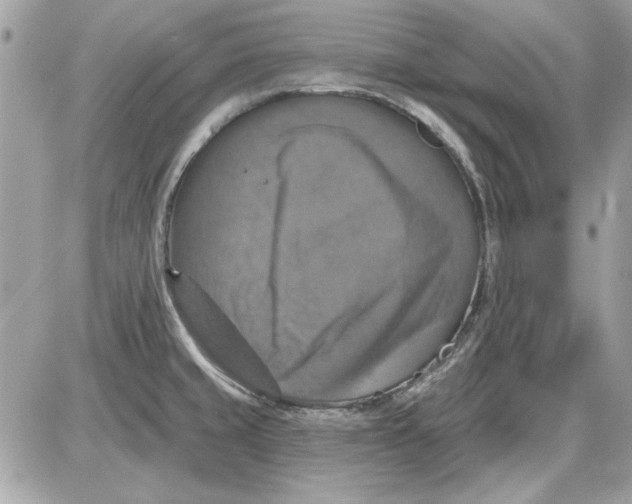 X0000087411429200705111840