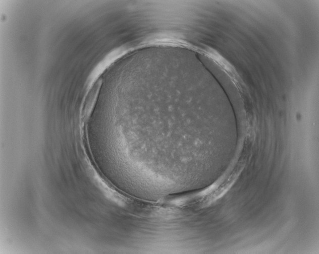 X0000087411430200705111840