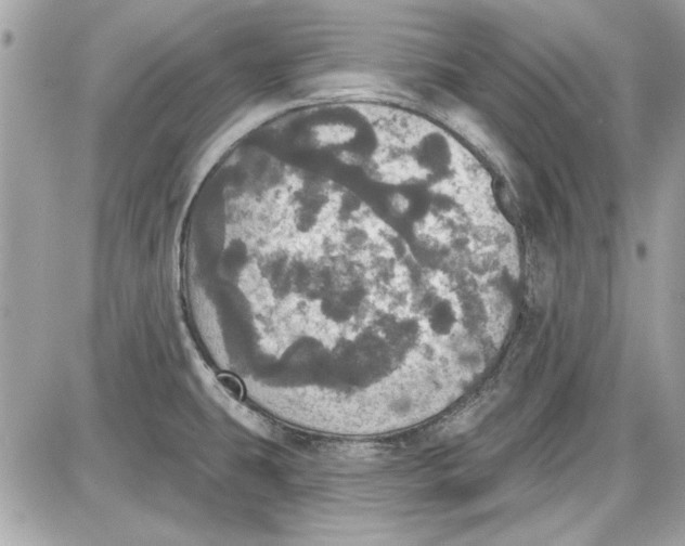 X0000087411431200705111840