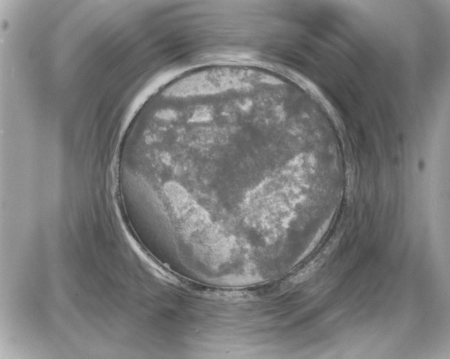 X0000087411432200705111840