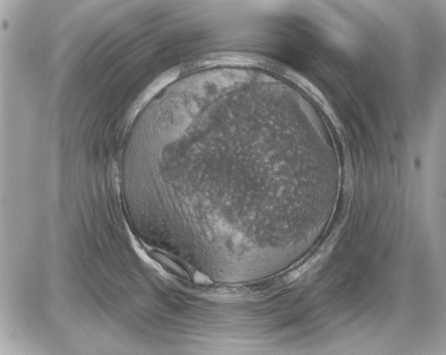 X0000087411433200705111840