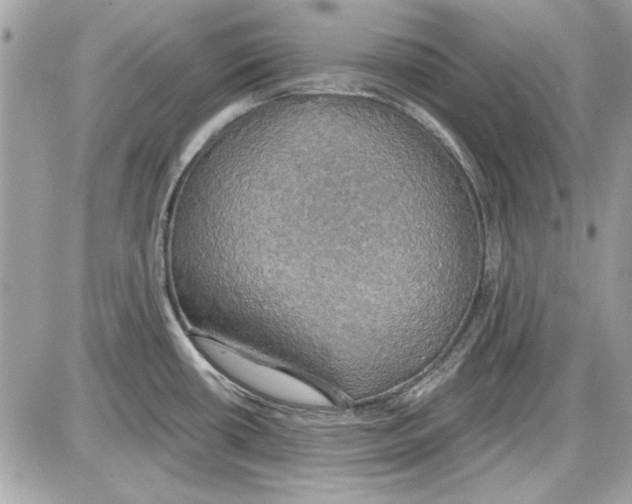 X0000087411434200705111840