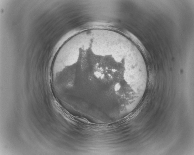 X0000087411435200705111840