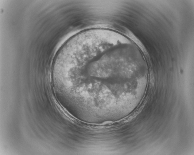 X0000087411436200705111840