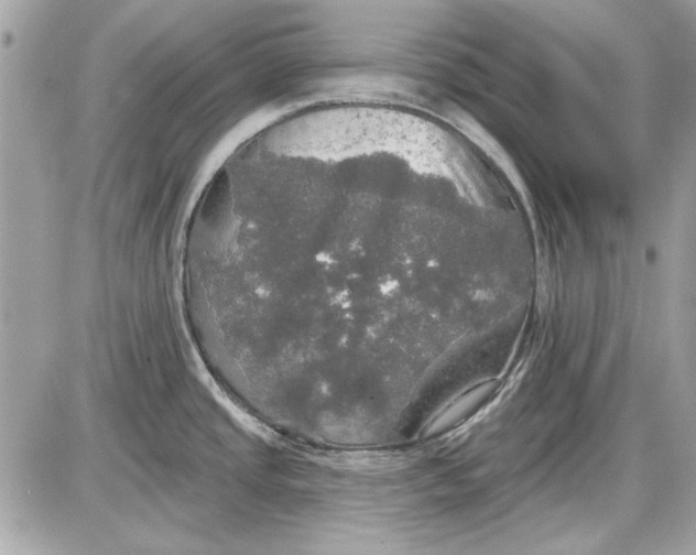 X0000087411437200705111840