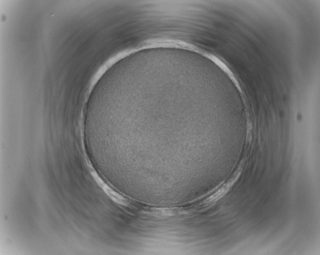 X0000087411438200705111840