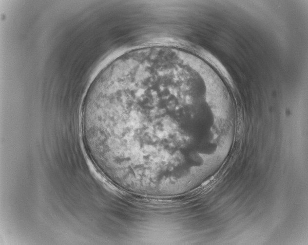 X0000087411439200705111840