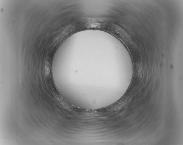 X0000087411442200705111839