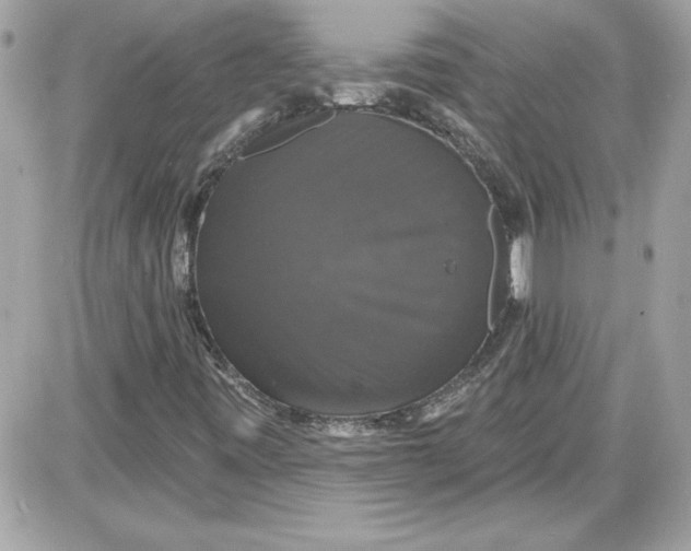 X0000087411443200705111839