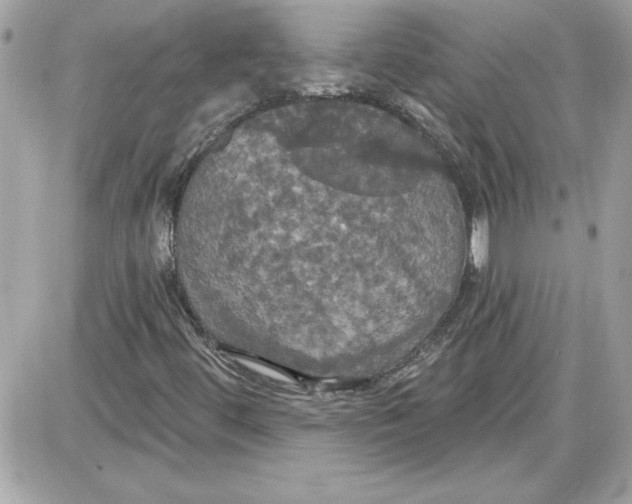 X0000087411444200705111839