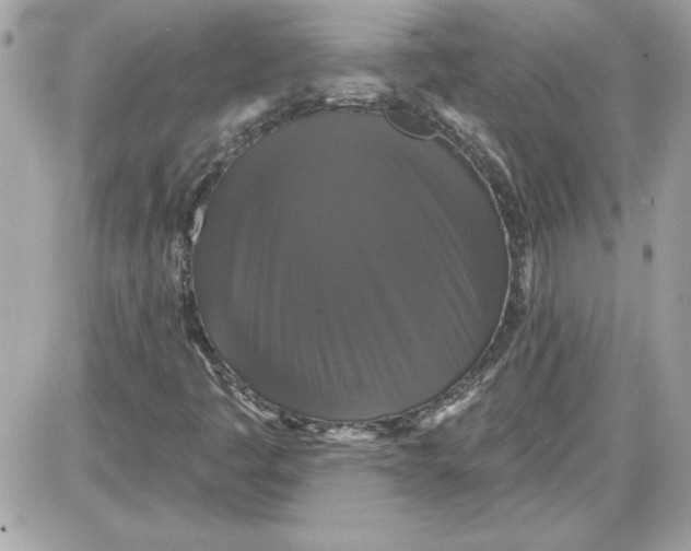 X0000087411445200705111839