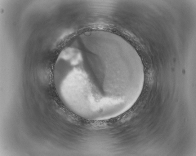 X0000087411446200705111839