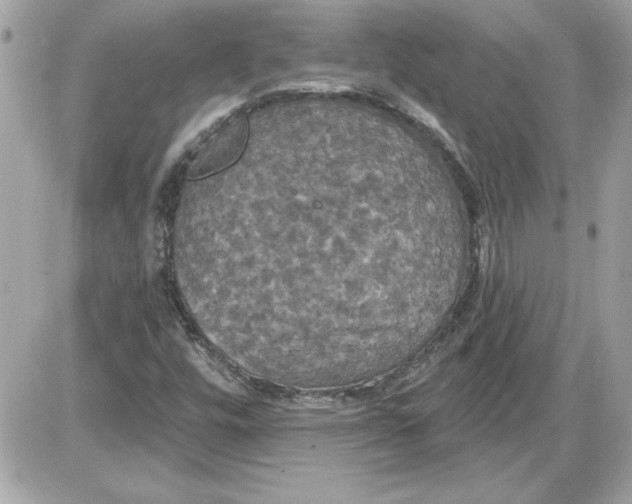 X0000087411448200705111839