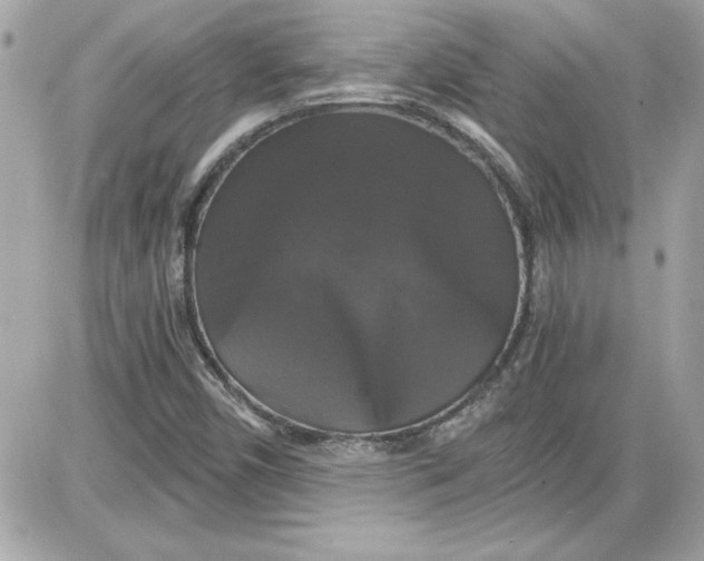 X0000087411450200705111839