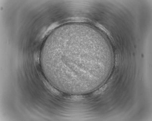 X0000087411451200705111839