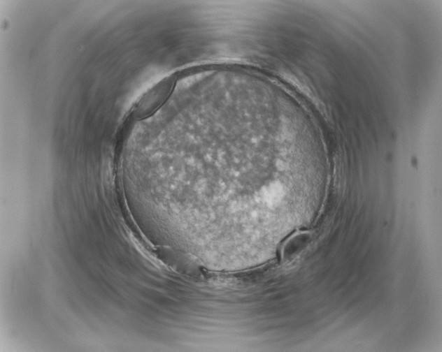 X0000087411452200705111839