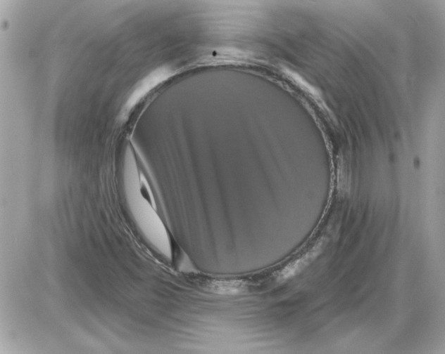 X0000087411453200705111839