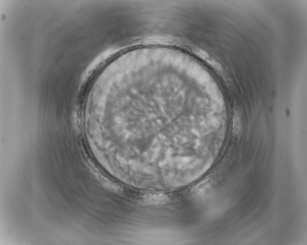 X0000087411454200705111839