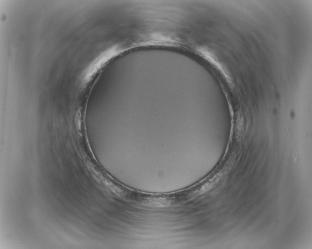 X0000087411455200705111839