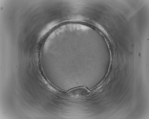 X0000087411456200705111839