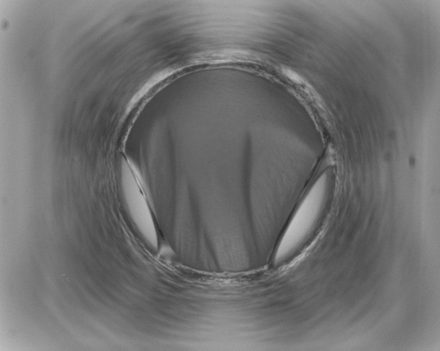 X0000087411457200705111839