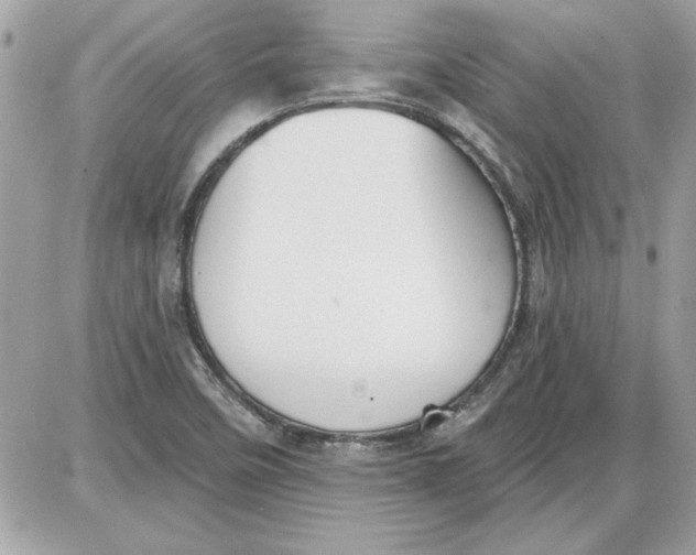 X0000087411458200705111839