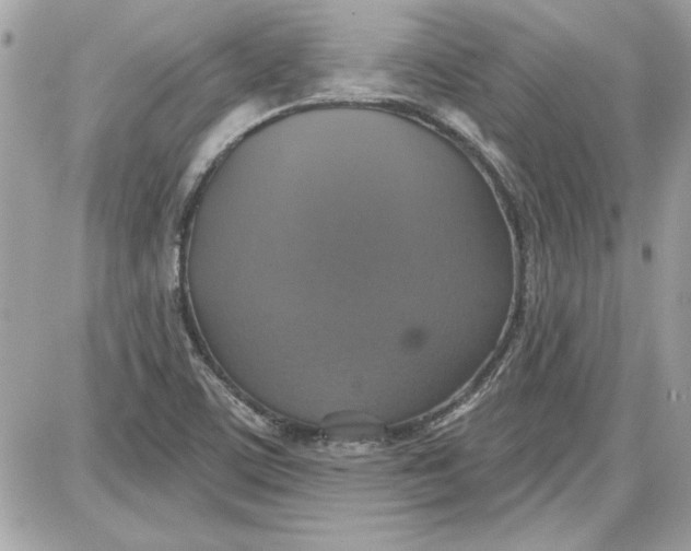 X0000087411459200705111839