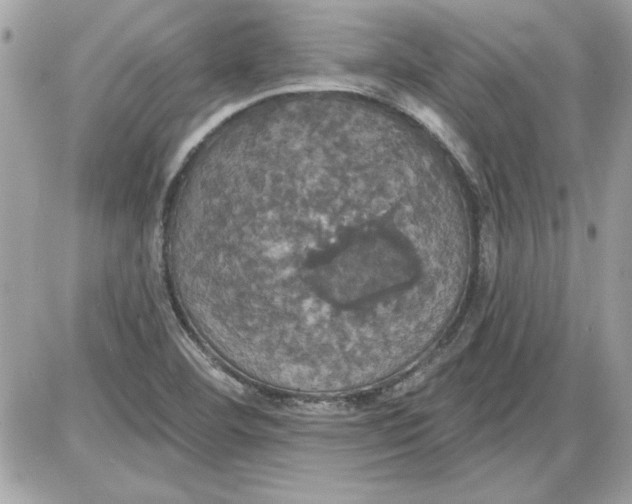 X0000087411460200705111839