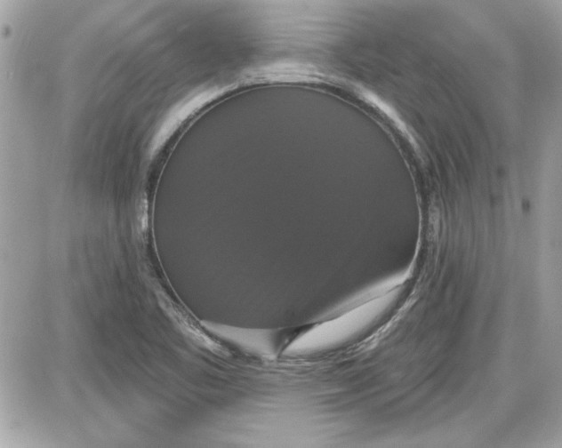 X0000087411461200705111839