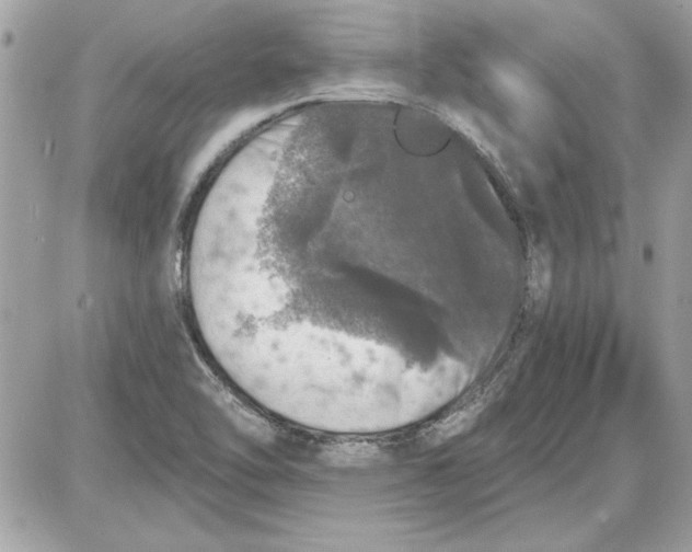 X0000087411462200705111839