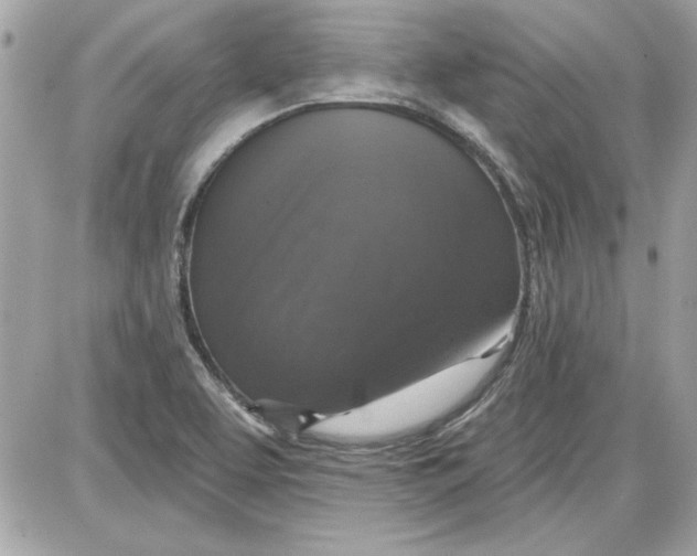 X0000087411463200705111839