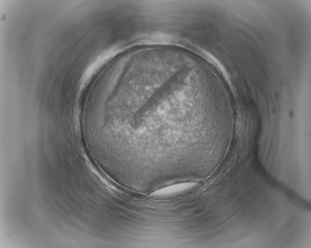 X0000087411464200705111839