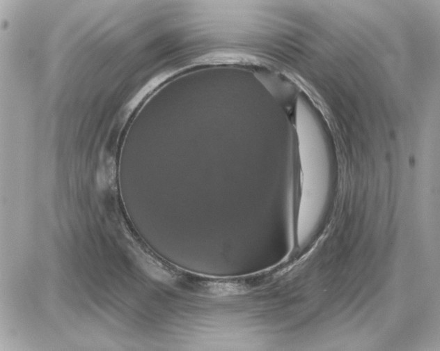 X0000087411465200705111839