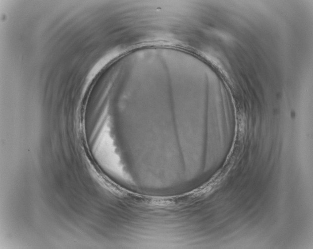 X0000087411466200705111839