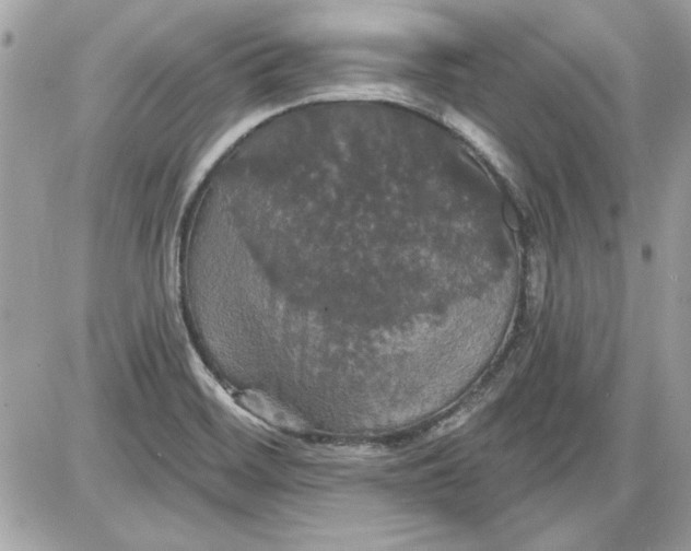 X0000087411468200705111839