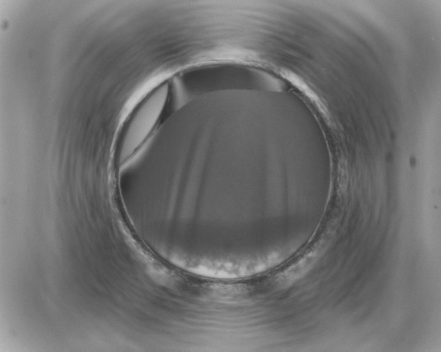 X0000087411469200705111839