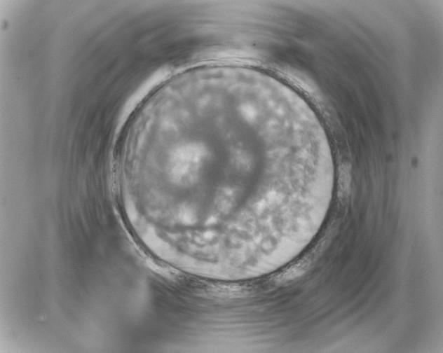 X0000087411470200705111839