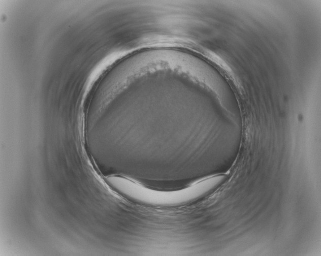 X0000087411472200705111839