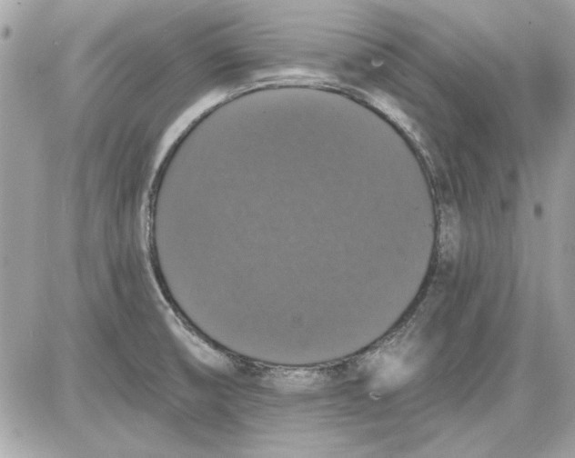 X0000087411474200705111839