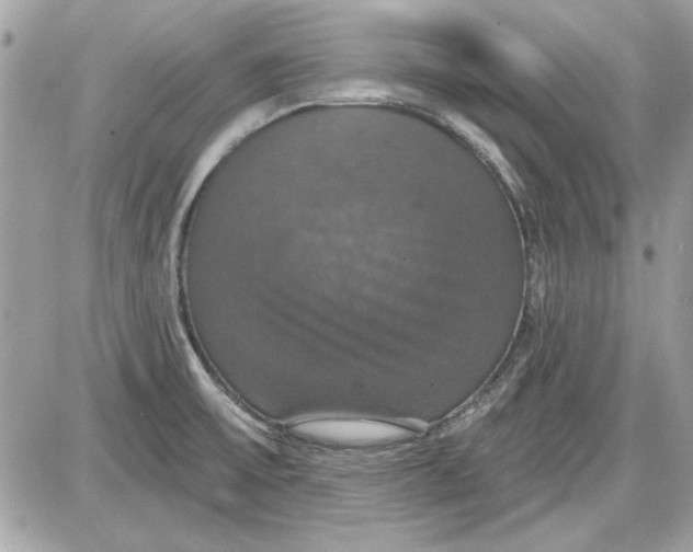 X0000087411475200705111839