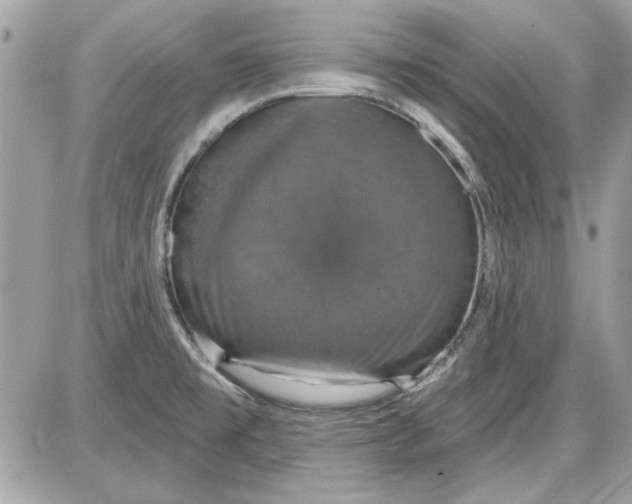 X0000087411477200705111839