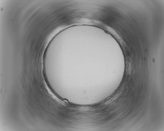 X0000087411479200705111839