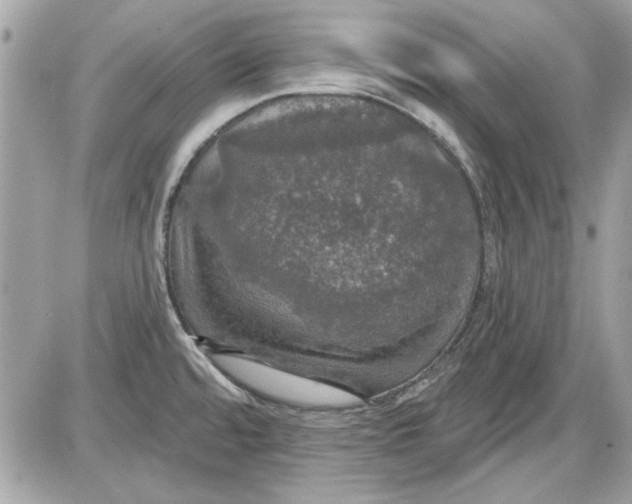 X0000087411480200705111839