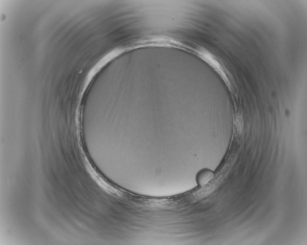 X0000087411482200705111839