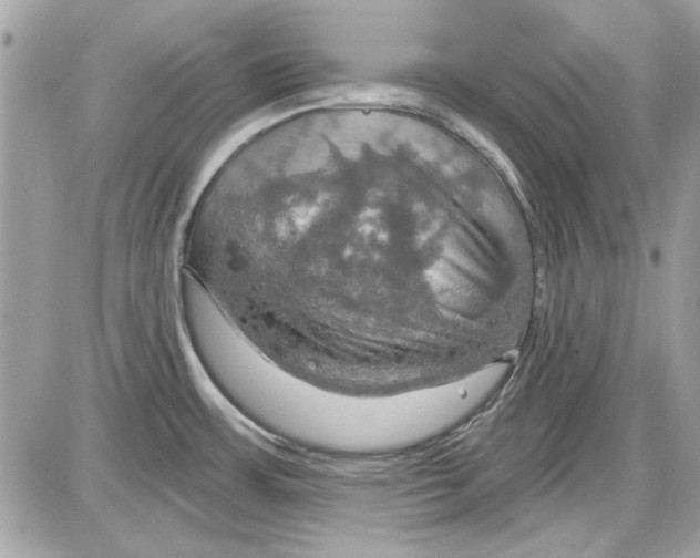 X0000087411483200705111839