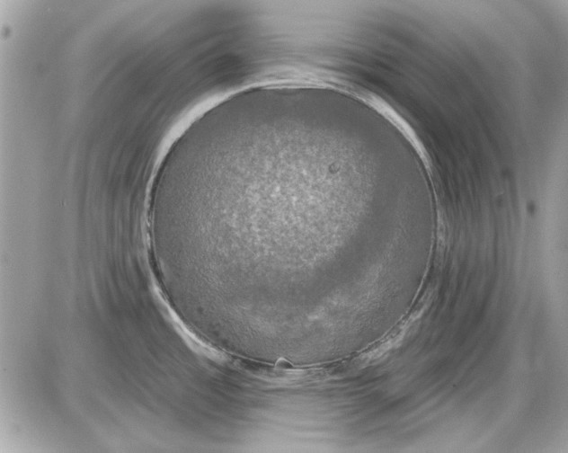 X0000087411485200705111839