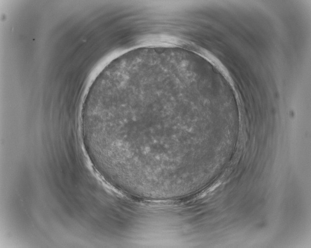 X0000087411488200705111839