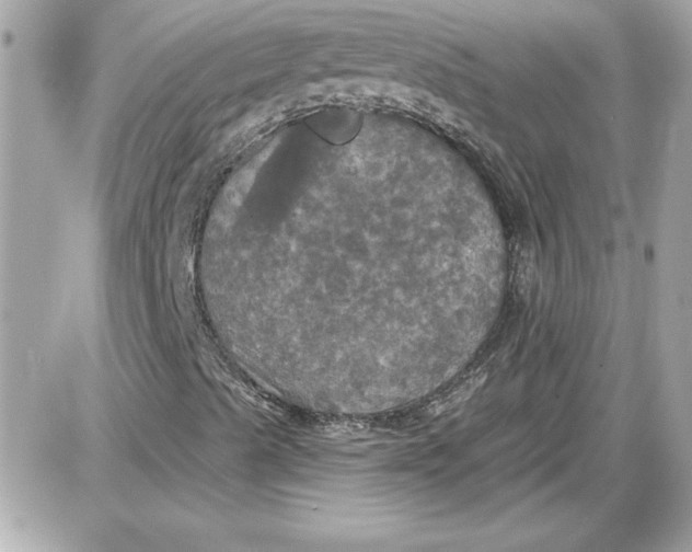 X0000087411489200705111838