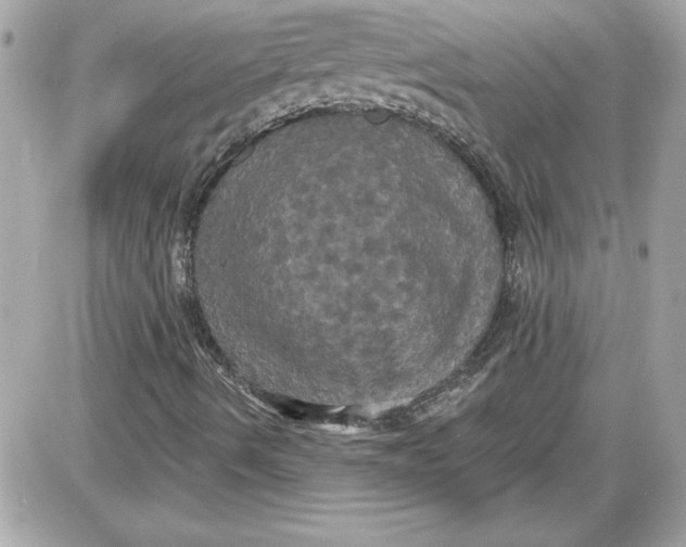 X0000087411490200705111838